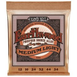 Ernie Ball 2146 Earthwood 12-54 Medium Light