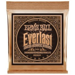 Ernie Ball 2544 Everlast 13-56 Medium