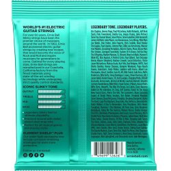 Ernie Ball 2626 12-56 Not Even Slinky