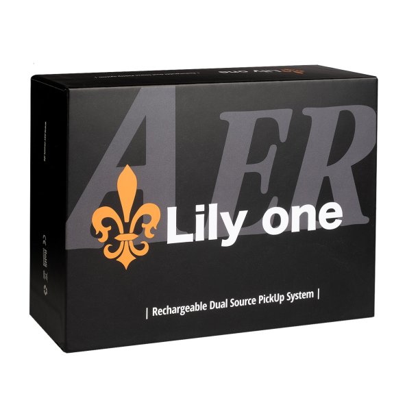 AER Lily one pickup system