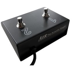 AER Stomp Footswitch